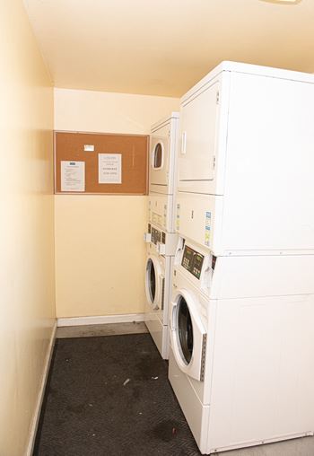 A row of washing machines in a laundry room.